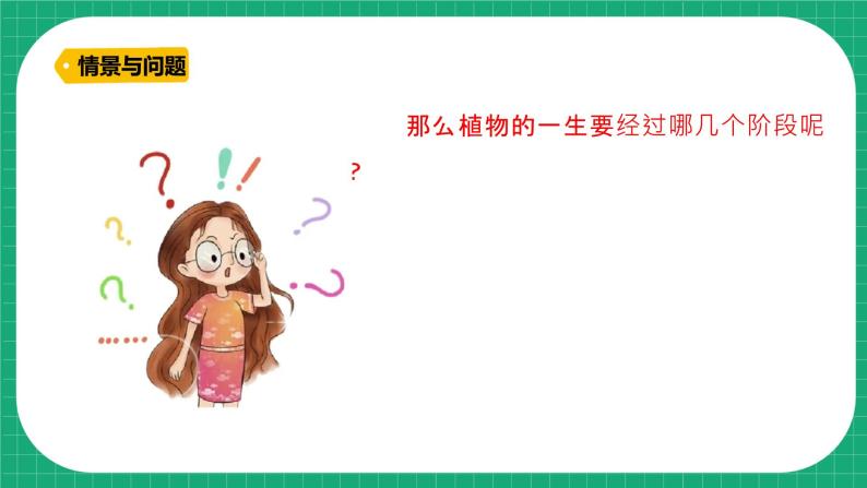 【核心素养】冀教版小学科学四年级下册    7.植物的一生     课件+教案(含教学反思)05