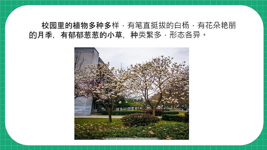 冀教版小學(xué)科學(xué)四年級(jí)下冊(cè)   5.植物的器官    課件第4頁(yè)