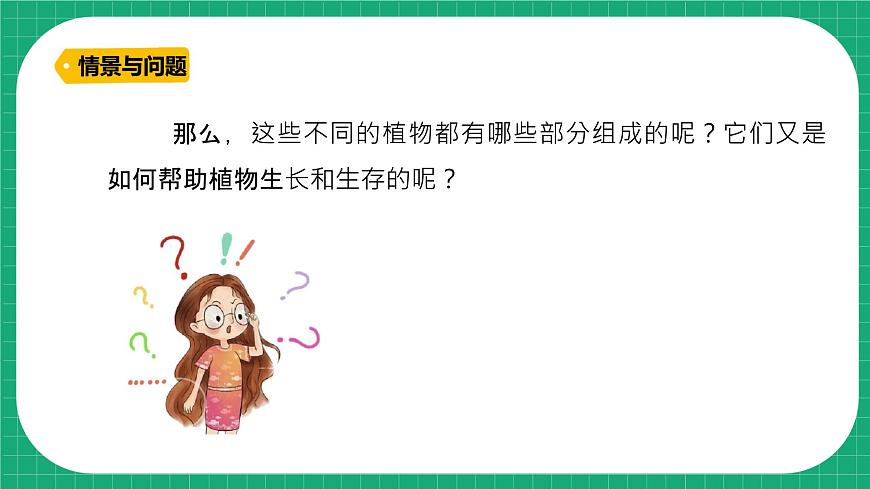 冀教版小學(xué)科學(xué)四年級(jí)下冊(cè)   5.植物的器官    課件第5頁(yè)