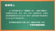 小学科学苏教版 (2017)三年级下册5 不同环境里的植物一等奖作业ppt课件