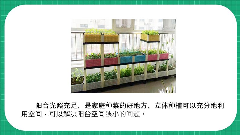 【核心素养】冀教版小学科学四年级下册 18.我家的小菜园(一) 课件+教案(含教学反思)08