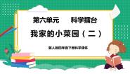 小学科学冀人版 (2017)四年级下册19 我家的小菜园（二）教学ppt课件