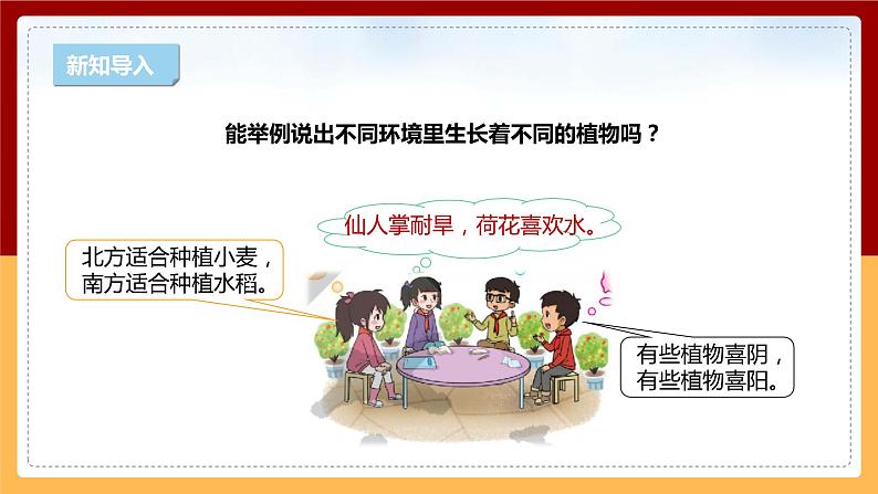 【新课标】1.4《植物与环境》课件 第4页