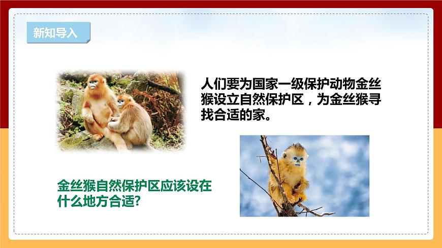 【新課標(biāo)】1.2《金絲猴的家》課件 第4頁