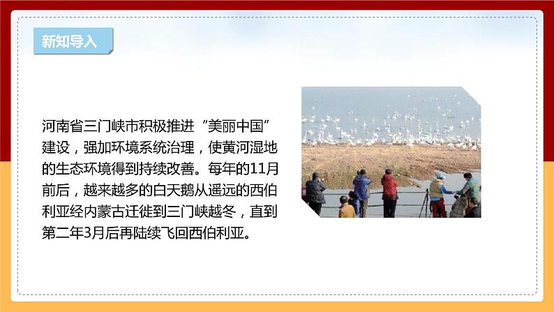 【新课标】1.3《环境变化与动物行为》课件 第3页