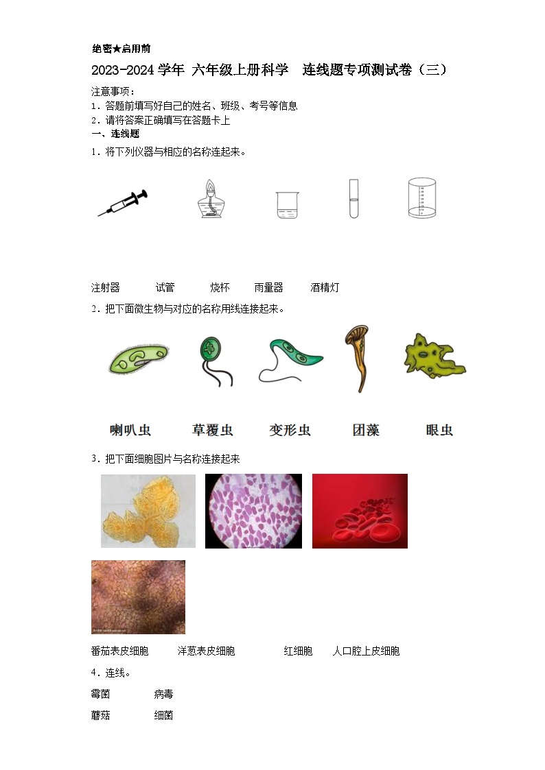 2023-2024学年+六年级上册科学+++连线题专项测试卷（三）（教科版）（含解析）