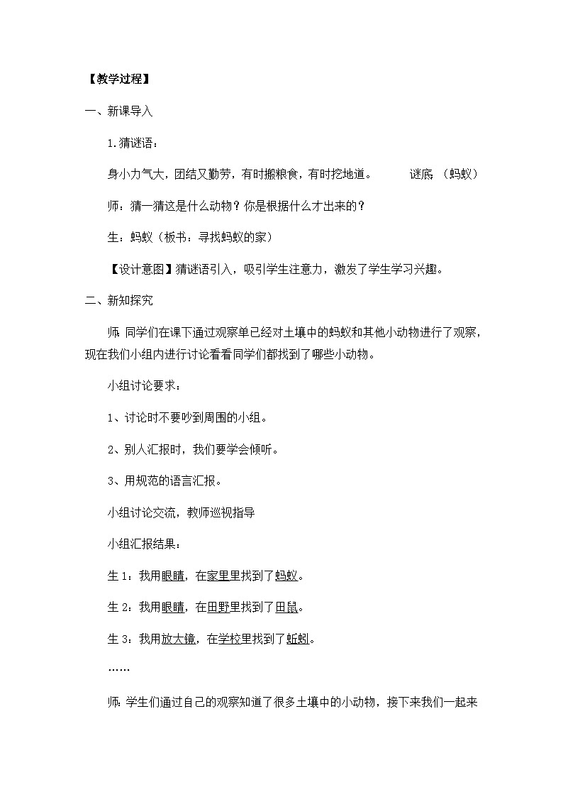 【核心素养】冀人版小学科学二年级下册 7.寻找蚂蚁的家 课件+教案(含教学反思)02