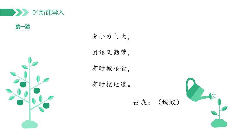【核心素养】冀人版小学科学二年级下册 7.寻找蚂蚁的家 课件+教案(含教学反思)04