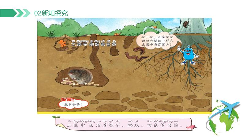 【核心素养】冀人版小学科学二年级下册 7.寻找蚂蚁的家 课件+教案(含教学反思)07