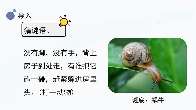 教科版科学一年级下册 2.2《观察一种动物》课件04