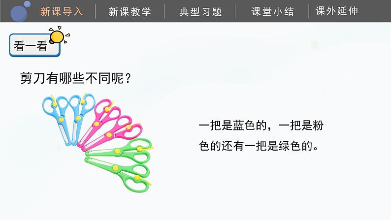 教科版科学二年级下册 2.3《观察与比较》课件第5页