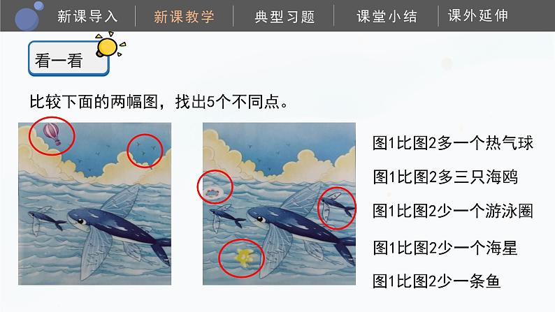 教科版科学二年级下册 2.3《观察与比较》课件第8页