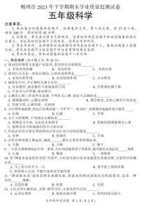 湖南省郴州市2023-2024学年五年级上学期期末考试科学试题
