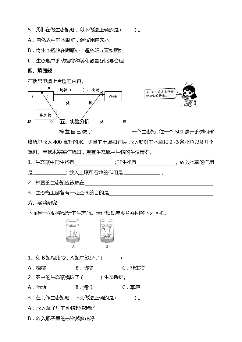 1.7《设计和制作生态瓶》试题(含答案解析)教科版五年级科学下册第2页