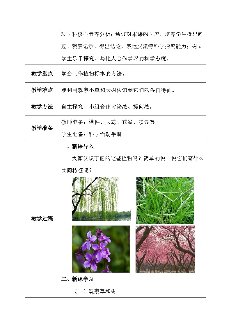 【核心素养】冀教版小学科学三年级下册 2.树与草 课件+教案(含教学反思)03
