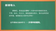 小学科学苏教版 (2017)三年级下册6 沙漠中的植物完美版作业课件ppt