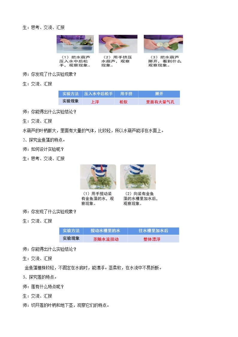 苏教版小学科学三年级下册第二单元《7.水里的植物》课件+教案+视频+作业03