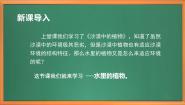 小学科学苏教版 (2017)三年级下册7 水里的植物一等奖作业课件ppt