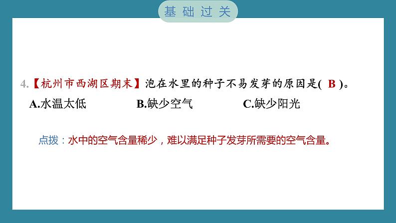 1.1 种子发芽实验(习题课件)-2023-2024学年科学五年级下册教科版04