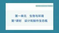 小学7.设计和制作生态瓶习题ppt课件