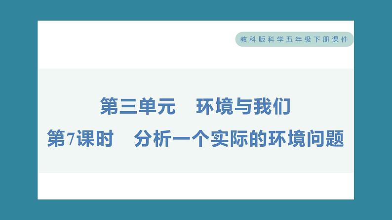 3.7 分析一个实际的环境问题(习题课件)-2023-2024学年科学五年级下册教科版第1页