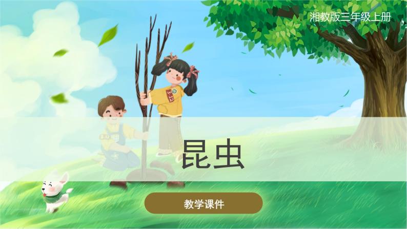 【湘科版】三上科学  2.1 昆虫（课件）01