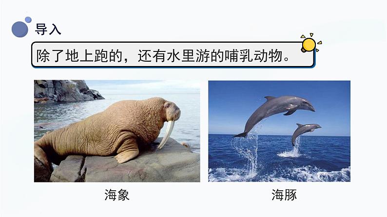 【湘科版】三上科学 2.4 哺乳动物(课件)05