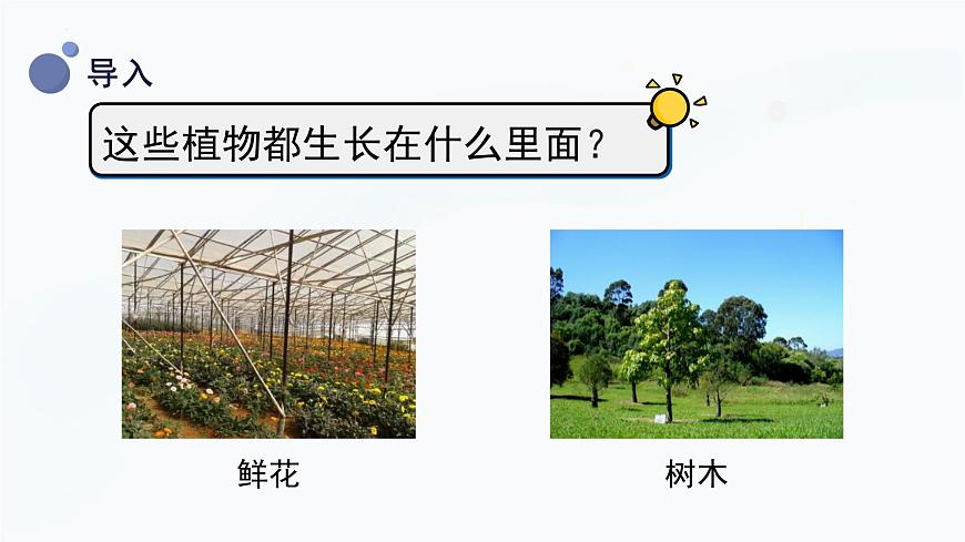 【湘科版】三上科學(xué)  3.2 土壤的成分（課件）第4頁