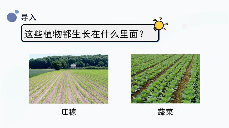 【湘科版】三上科學(xué)  3.2 土壤的成分（課件）第5頁