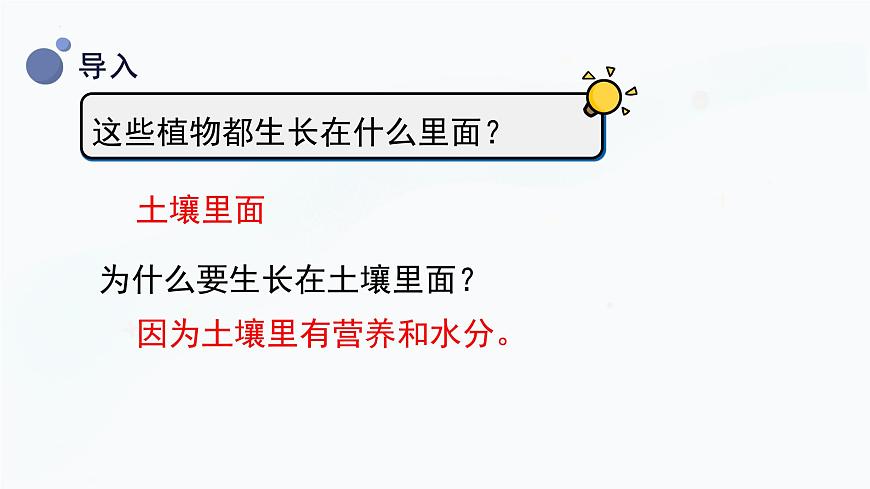 【湘科版】三上科學(xué)  3.2 土壤的成分（課件）第6頁