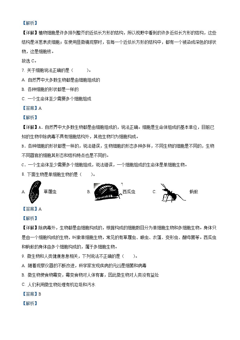 2023-2024学年浙江省温州市平阳县教科版六年级上册期末考试科学试卷03