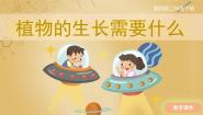 科学二年级下册3 植物生长需要什么优质课ppt课件