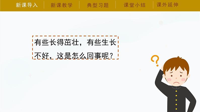 湘科版(2017秋)二年级下册科学课件2.3《植物生长需要什么》课件第6页
