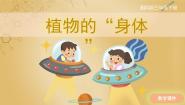 小学科学湘科版 (2017)三年级下册1 植物的“身体”精品ppt课件