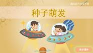 湘科版 (2017)三年级下册第五单元 植物的一生1 种子萌发试讲课课件ppt