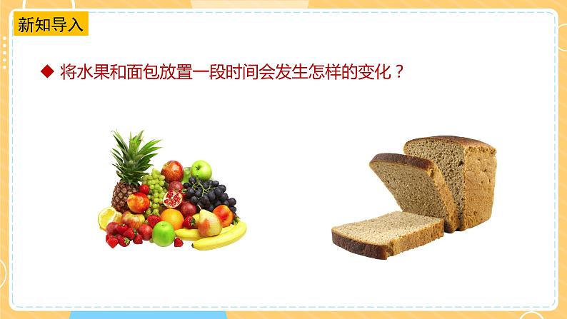 【苏教版】五下科学 1.3发霉与防霉(课件+教案+同步练习)04