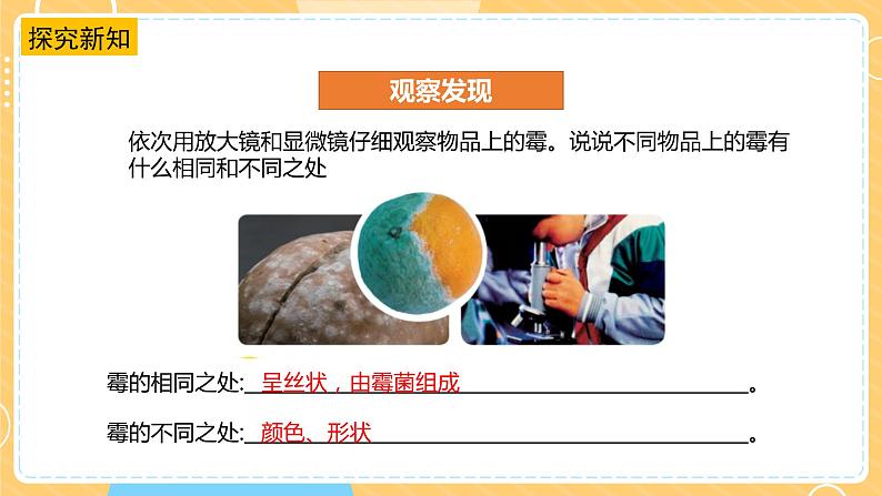 【苏教版】五下科学 1.3发霉与防霉(课件+教案+同步练习)07