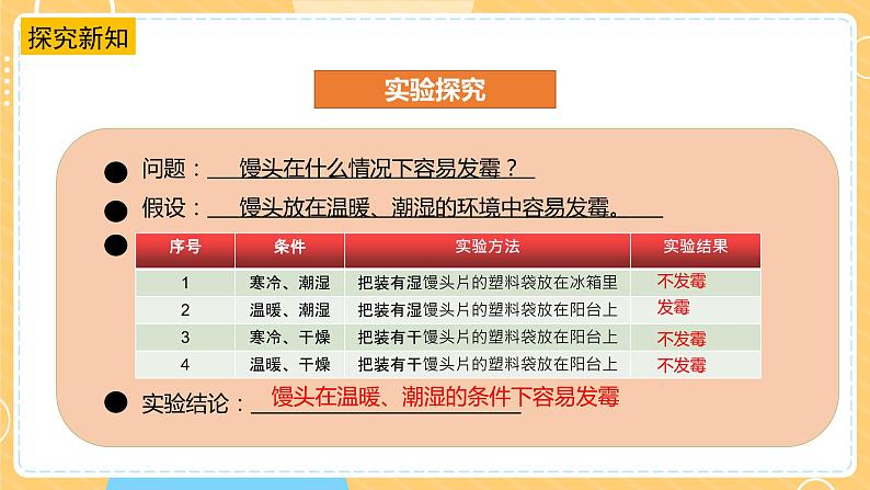 【苏教版】五下科学 1.3发霉与防霉(课件+教案+同步练习)08