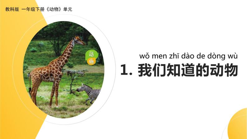 杭州教科版一年级下册科学第二单元《1.我们知道的动物》课件01