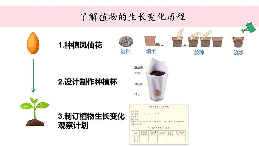 教科版科學(xué)四年級下冊 1.9植物的生長變化單元整理 教學(xué)課件第4頁
