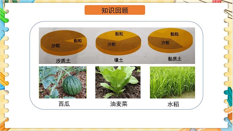 教科版科学四年级下册 3.8岩石、土壤和我们 教学课件07
