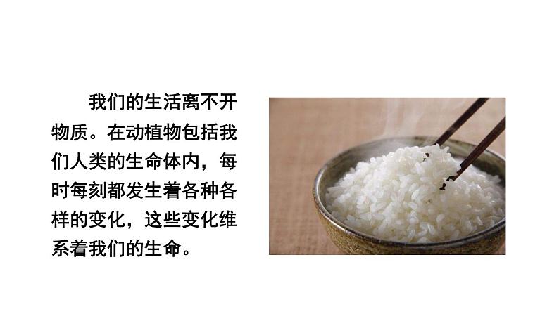 教科版六年级下册科学第四单元《6.生命体中的化学变化》课件(定稿)第2页