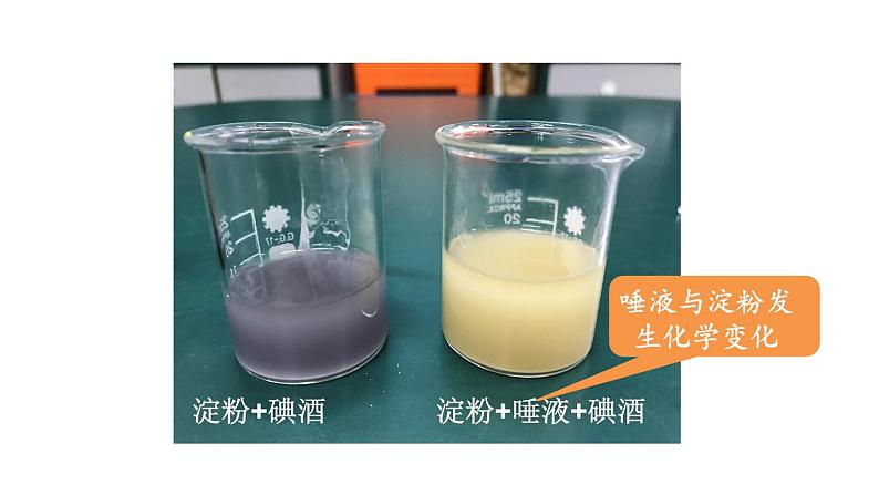 教科版六年级下册科学第四单元《6.生命体中的化学变化》课件(定稿)第8页