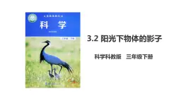 3.2 阳光下物体的影子（课件）