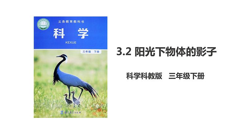 3.2 阳光下物体的影子(课件)第1页