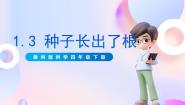 科学四年级下册3.种子长出了根一等奖ppt课件