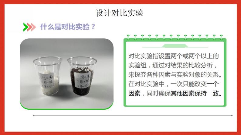 教科版科学五年级下册1.1《种子发芽实验》课件+教案+练习07