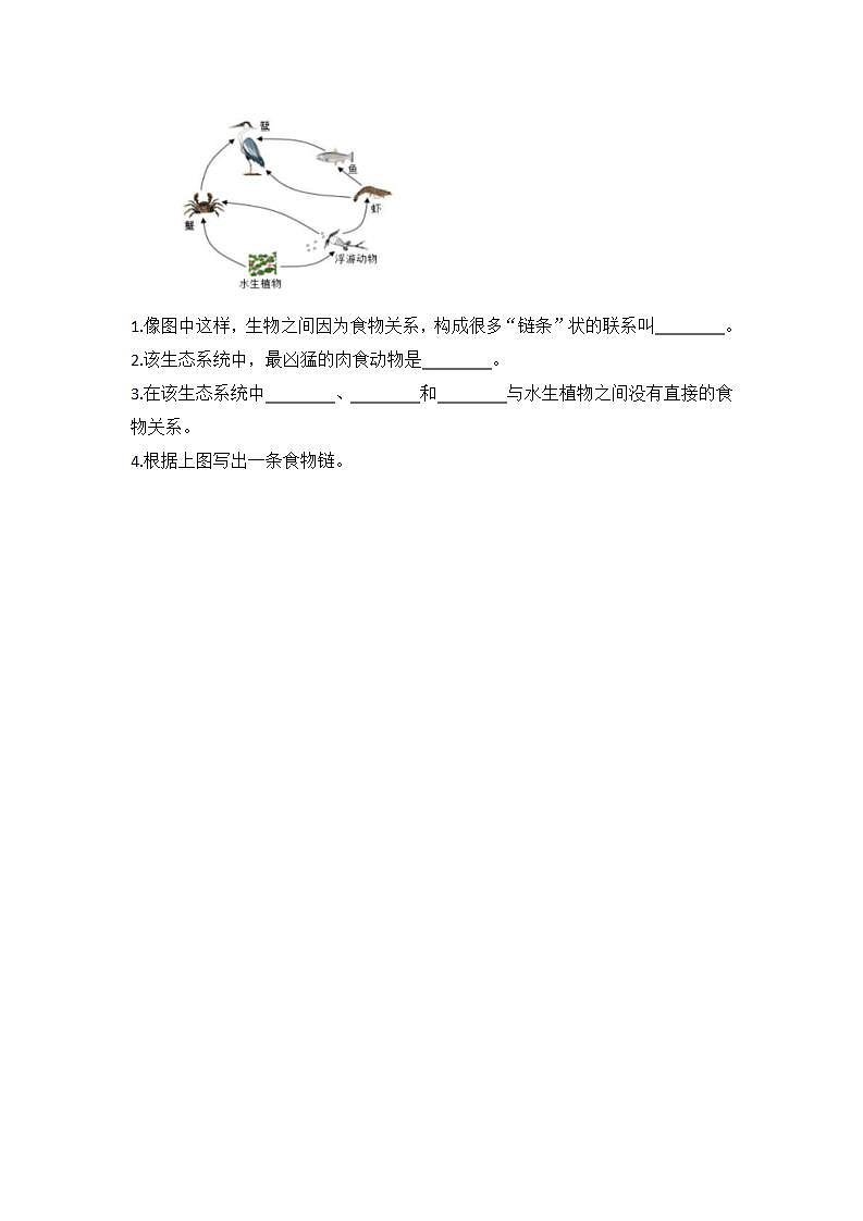 教科版科学五年级下册1.6《食物链和食物网》练习第2页