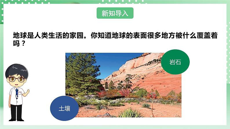 【核心素养】人教鄂教版科学三年级下册 1.1《土壤里有什么》课件第6页