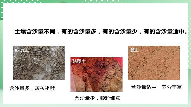 【核心素养】人教鄂教版科学三年级下册 1.1《土壤里有什么》课件第8页